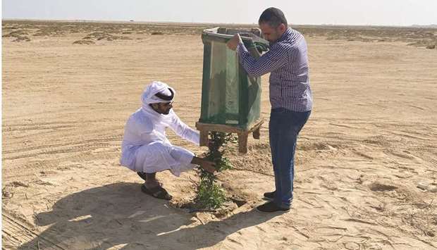 The Al Shamal Municipality has successfully completed the experimental planting of arak tree in the marshes located along the northern coast within the municipality limits.