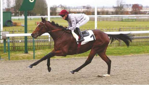 Trained by Jean-Claude Rouget, the two-year-old colt was having his second career start, following a fourth placed finish at Deauville just over a month ago.