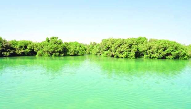 Gulf Times