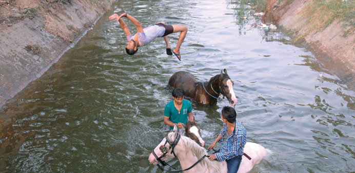 Two men and their horses cool off in a canal on the outskirts of Jalandhar in the northern state of Punjab. High temperatures hovering over 40 degrees