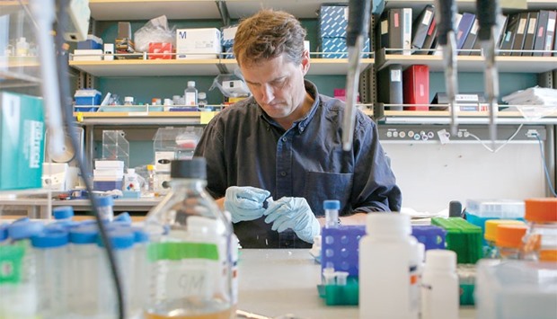 AT WORK: Matthew Porteus, 51, professor of paediatrics at Stanford School of Medicine, pipettes DNA to use for gene editing of stem cells at Lokey Stem Cell lab at Stanford University in Stanford California.