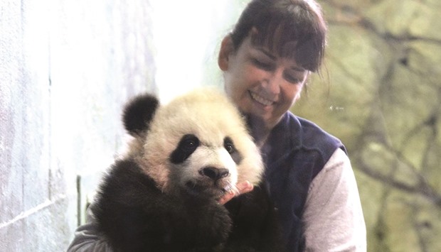 Biologist Laurie Thompson holds giant panda cub Bei Bei as he makes his public debut at the Smithsonianu2019s National Zoo in Washington yesterday.