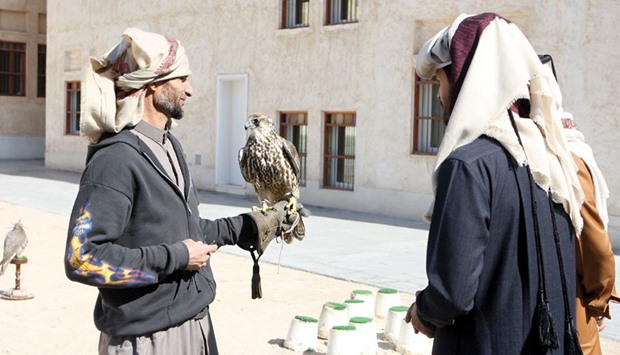 BIRDu2019S EYE: FalCon aims to shed light on falcons in Qatar and the Arabian Gulf, and find suitable veterinary solutions to address the current diseases; improve the scientific research movement in the region.