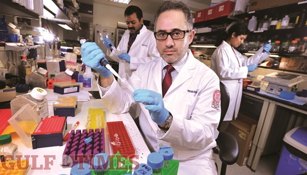 Dr Hani Najafi,  assistant professor, WCM-Q.