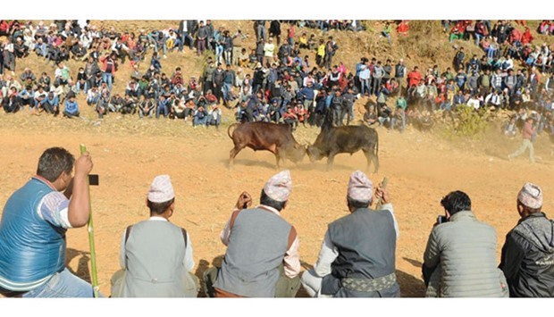 Nepalese spectators watch a bullfight during the Maghesangranti Festival in Taraka, some 76kms from Kathmandu, yesterday.  Thousands of Nepalis gathered at an open ground in the Himalayan foothills to watch a bullfighting festival that heralds the end of winter.
