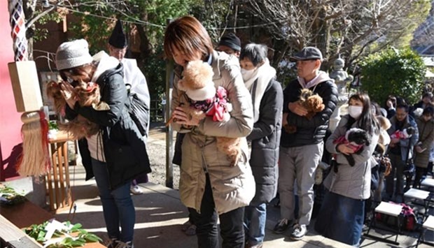 People pray as they hold their dogs during a pet blessing ceremony at Ichigaya Kamegaoka Hachimangu Shinto shrine in Tokyo.