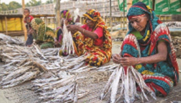 Women work at a dry fish yard in the coastal resort of Coxu2019s Bazar. Changing weather conditions have hit the business hard.