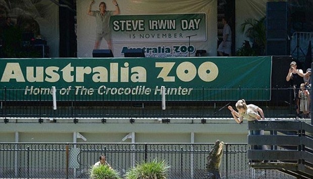 Australia Zoo was founded by the family of the late ,Crocodile Hunter, star Steve Irwin.