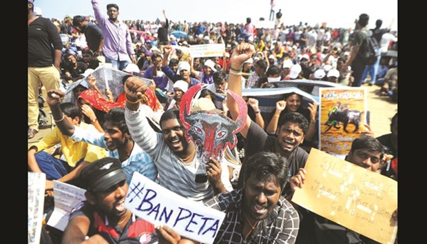 Students hold placards against animal rights organisation PETA during a demonstration against the ban on the Jallikattu bull taming ritual in Chennai yesterday.