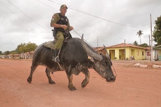 Vitelli Cassiano, a policeman, demonstrates how to ride a water buffalo on patrol in Soure, the main town of the Brazilian island of Marajo.