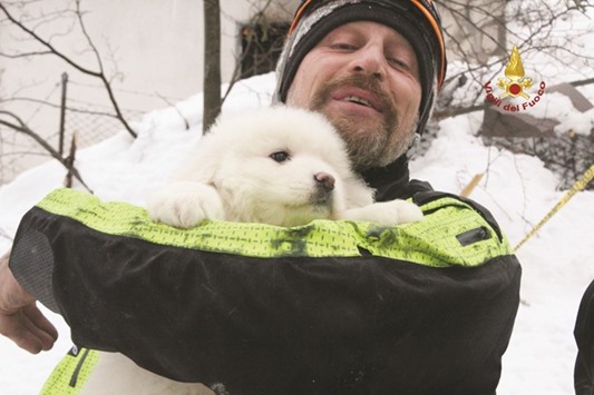 A handout picture shows a firefighter carrying one of the rescued puppies found at the avalanche-hit Hotel Rigopiano.