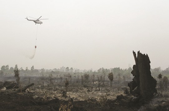A helicopter operated by National Disaster Mitigation Agency dropping water over a fire in Kampar, Riau province in August 2016. 