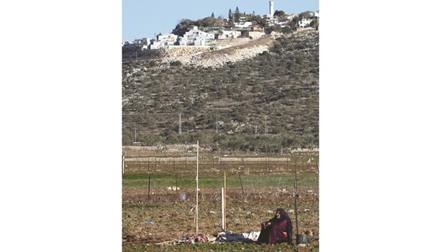A Palestinian woman sits in a field in the West Bank village of Deir Ballut yesterday.