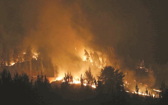 A forest fire burns in the town of Empedrado, in the Maule region, Chile.