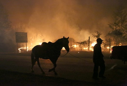 A villager and his horse walk past a forest fire in the town of Santa Olga in the Maule region, southern Chile.