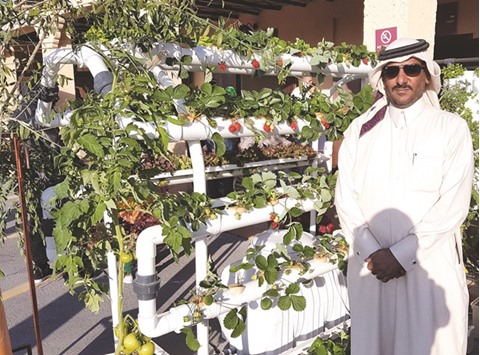 Qatari farm owner Ali Ahmad Saad Mansour al-Kaabi beside his hydroponics system at the Mahaseel Festival yesterday. PICTURE: Joey Aguilar