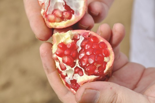 DELICIOUS: The first pomegranate John Chater tasted was handed to him by his grandfather.