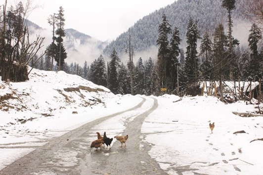 Chickens forage for food after snowfall in Pahalgam in Jammu and Kashmir yesterday.
