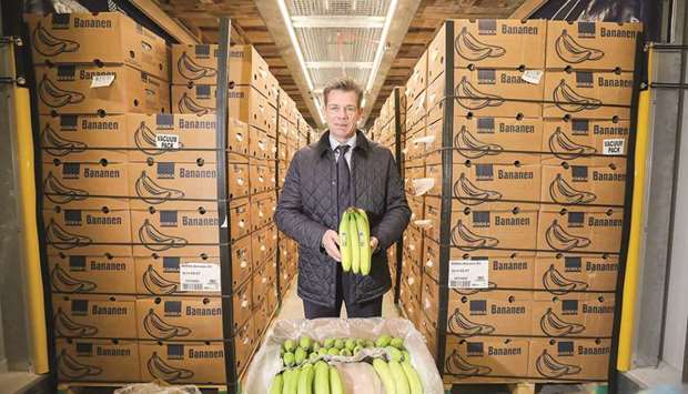 PERFECT: Stefan Worm, head of fruit for grocery chain Edekau2019s north German operations, shows off ripened bananas at a ripening chamber. The specially made chambers ensure that German stores can have perfect bananas on their shelves.