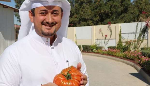 Nasser al-Khalaf shows the 1.34kg organic tomato.