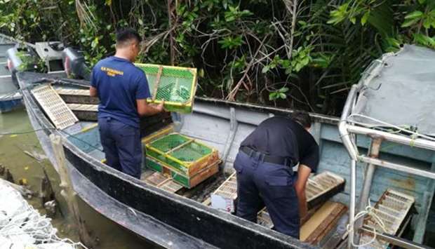 MMEA officials examine the exotic birds saved from the smugglers. Picture courtesy: The Star