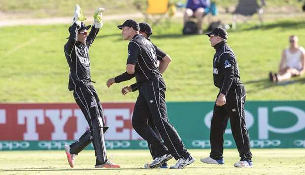 New Zealand players celebrate a wicket during the match against South Africa.