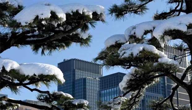 Office buildings are pictured through snow-covered pine trees near the Imperial Palace in Tokyo earlier this week.