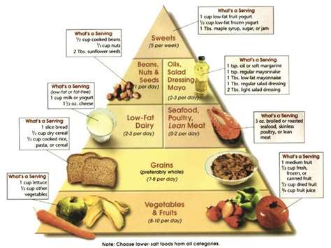 The u2018DASHu2019 food pyramid. DASH u2013 the acronym stands for Dietary Approaches to Stop Hypertension u2013 falls far short of demonstrating a significant impact on the major nutrition-related diseases of our time.