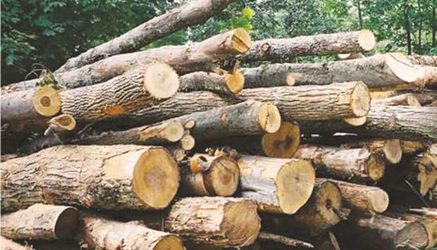 Samling is working with advisers to explore a possible dual listing of the business in Kuala Lumpur and Singapore later this year, sources said yesterday.