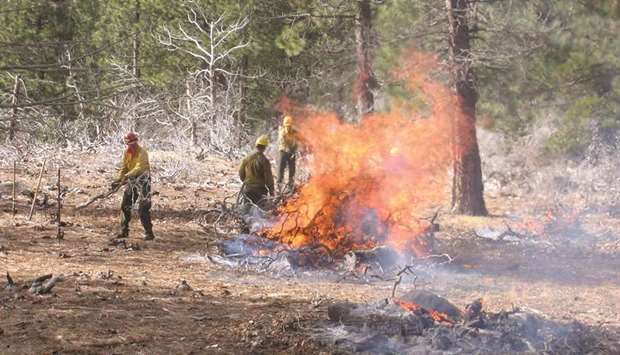 CONTROLLED BURNING: A pile burning near the Manzanita Lake Dam at the Lassen Volcanic National Park on November 15, 2007. Fire crews burn large debris piles in the fall and winter, after cooler and wetter weather prevails.