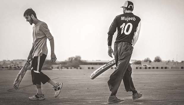 u2018Cricket photographyu2019 by Abdelhamid Serghini.