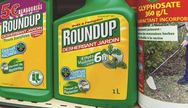 In this file photo taken on June 15, 2015, bottles of Monsantou2019s Roundup pesticide are pictured in a gardening store in Lille.
