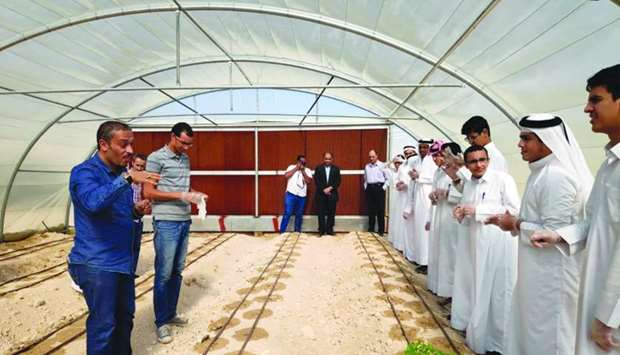 A greenhouse is installed at the Audio Complex for Boys, teaching students about agriculture, sustai