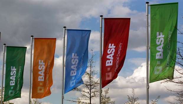 Flags of the German chemical company BASF are pictured in Monheim, Germany April 20, 2012.