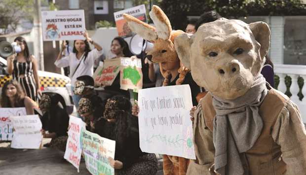 Protesters hold placards during a demonstration over Australiau2019s bushfires crisis, outside the Australian embassy in Lima, Peru, in this January 10 photograph.