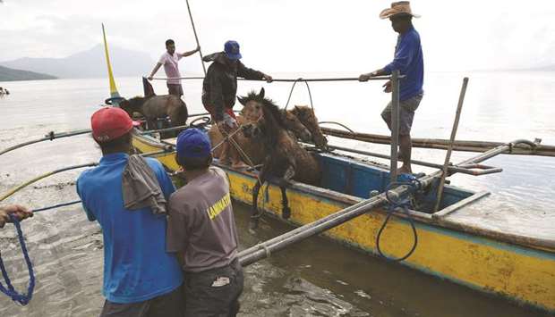 Residents living at the foot of Taal volcano unload their horses from a wooden boat after rescuing them from their homes and transporting them to Balete town, Batangas province, south of Manila, yesterday.