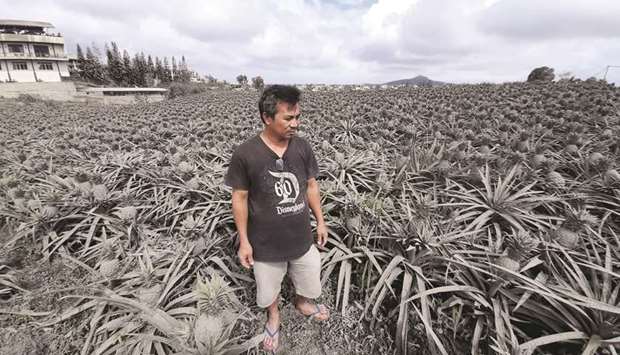 Farmer Jack Imperial, 49, poses for a portrait in his pineapple plantation covered with ash from the erupting Taal volcano, in Tagaytay, yesterday.