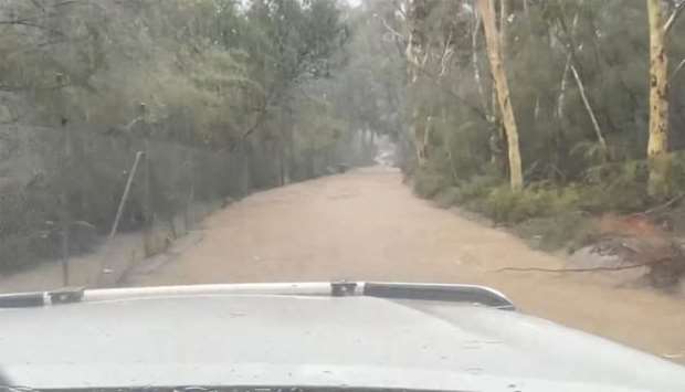 Flooding is seen along a road at the Australian Reptile Park in Somersby, New South Wales