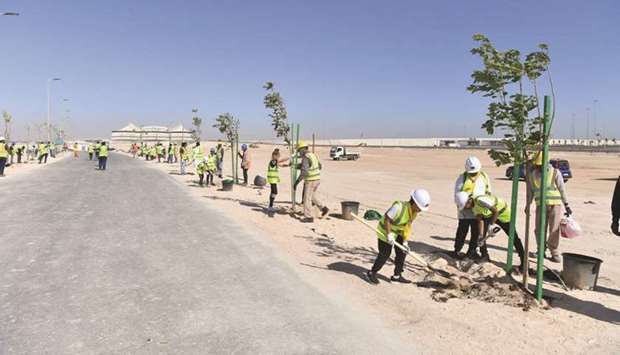 Al Khor Model School for Boys students planting trees at Al Khor Road development project.