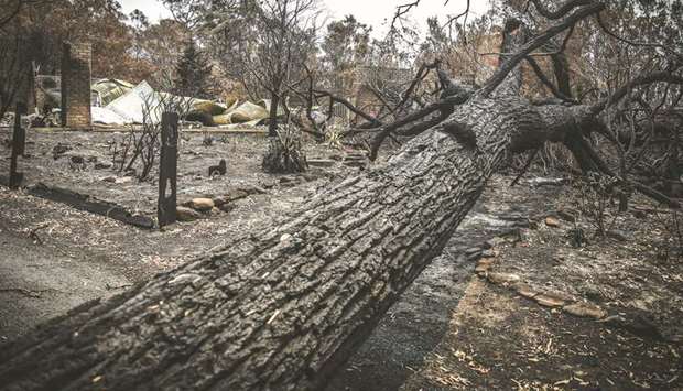 The remains of a property burned out by wildfires stands near Milton, Australia. Areas around BHPu2019s mine have experienced a number of incidents during Australiau2019s bushfire season, with a fire being tackled yesterday about 20 miles to the south in Spring Gully, according to the New South Wales Rural Fire Service.