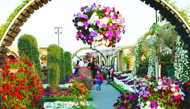 A wide variety of flowers and ornamental plants are available at Mahaseel Festival.