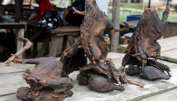 Photo shows dried bushmeat at a market