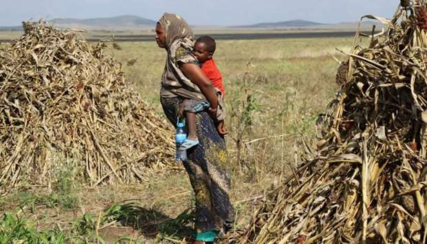 Asha Khalif Ali, 35, an internally displaced Ethiopian carries her youngest son in her wheat field that was damaged by heavy rains and desert locusts in the outskirts of Tuli Guled, Somali Region, Ethiopia