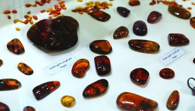 Exhibits from the first edition of International Amber Exhibition.