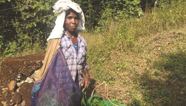 A tea plucker at work on the Priyadarshini Tea Environs plantation in Wayanad, India, in  this December 27, 2019, photograph.