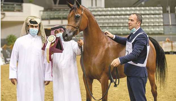 Masroura Al Shaqab, owned by Al Shaqab, Member of Qatar Foundation, topped Class 9B for Mares four-six-year-olds. PICTURES: Juhaim