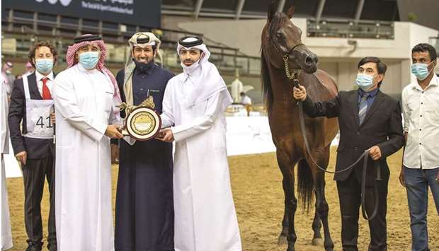 Al Jumail Studu2019s Badiea Al Nasser emerged as the Senior Stallions champion in the 23rd Qatar National Arabian Horse Show at Longines Indoor Arena at Al Shaqab yesterday. PICTURES: Juhaim
