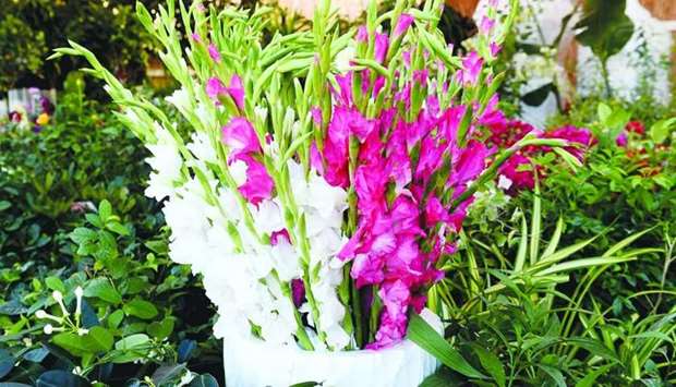 Lilies are among the bestsellers at the Flower Festival at Souq Waqift. PICTURES: Shaji Kayamkulam