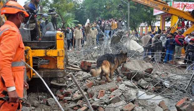 A sniffer dog examines the debris after the roof of a shelter at a crematorium collapsed in Ghaziabad, India