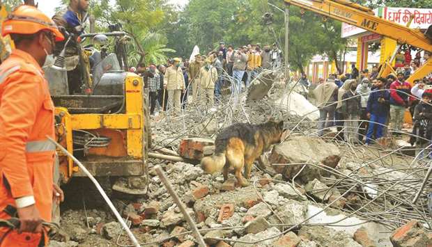 A sniffer dog examines the debris after the roof of a shelter at a crematorium collapsed in  Ghaziabad, yesterday.